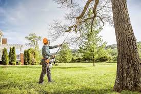 Best Hazardous Tree Removal  in Byron, CA
