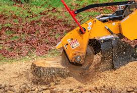 Byron, CA Tree Care Company
